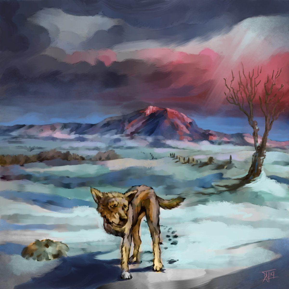 Dog Winter